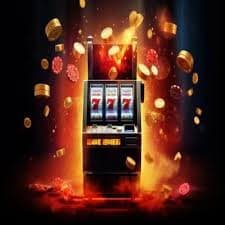bet win